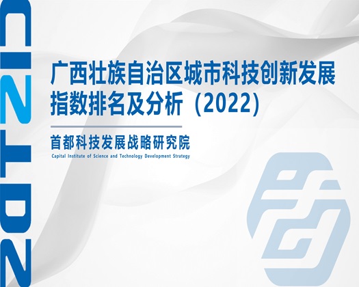 大鸡吧爆比【成果发布】广西壮族自治区城市科技创新发展指数排名及分析（2022）